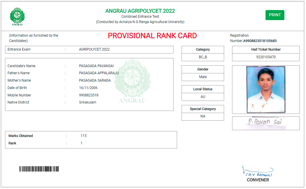 Rank Card